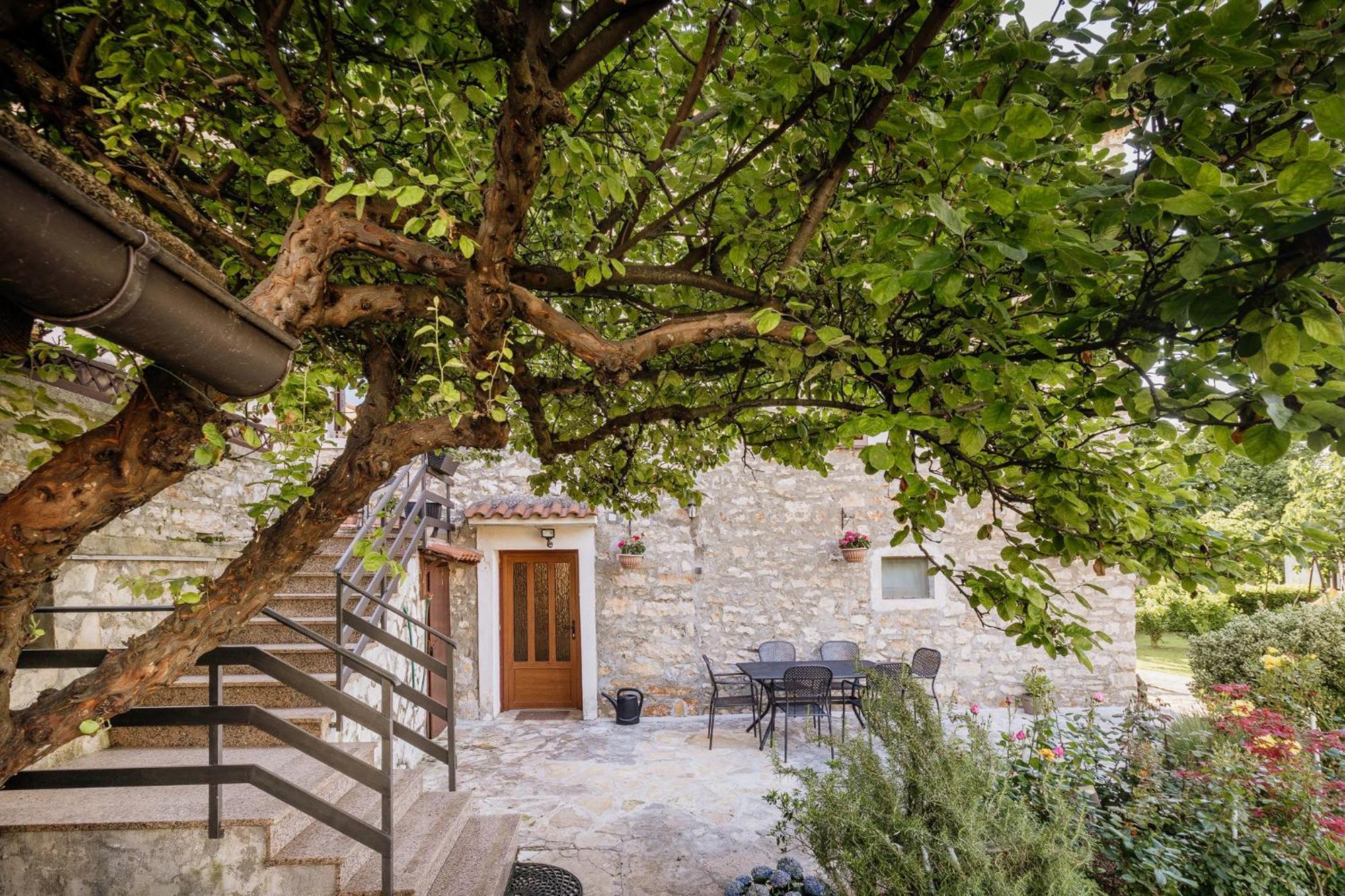 Babici Apartments Mirna Stress Free מראה חיצוני תמונה