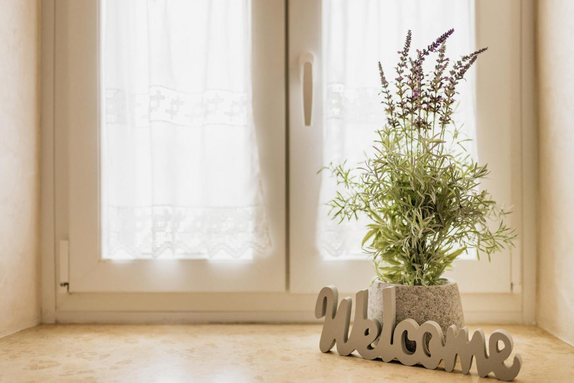 Babici Apartments Mirna Stress Free מראה חיצוני תמונה